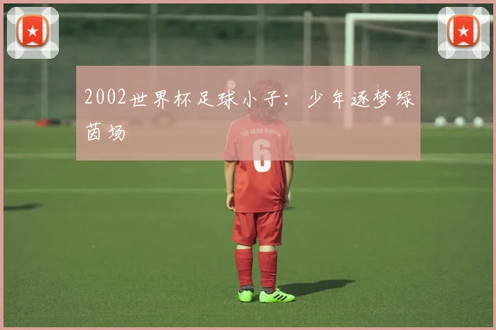 2002世界杯足球小子：少年逐梦绿茵场