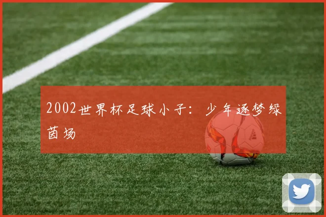 2002世界杯足球小子：少年逐梦绿茵场